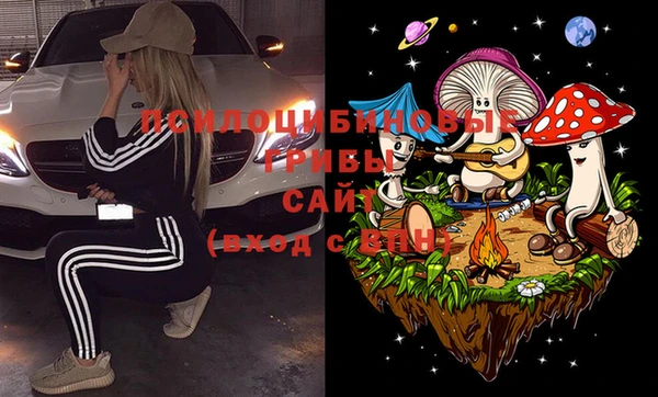 мдпв Богданович