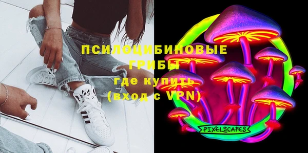 ешки Богородицк