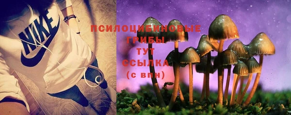 сатива Белоозёрский